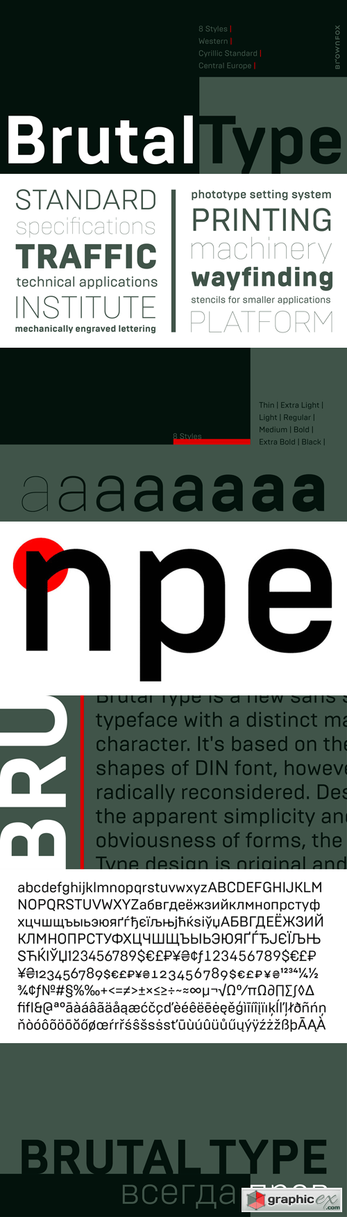 Brutal Type Font Family - 8 Fonts for $150